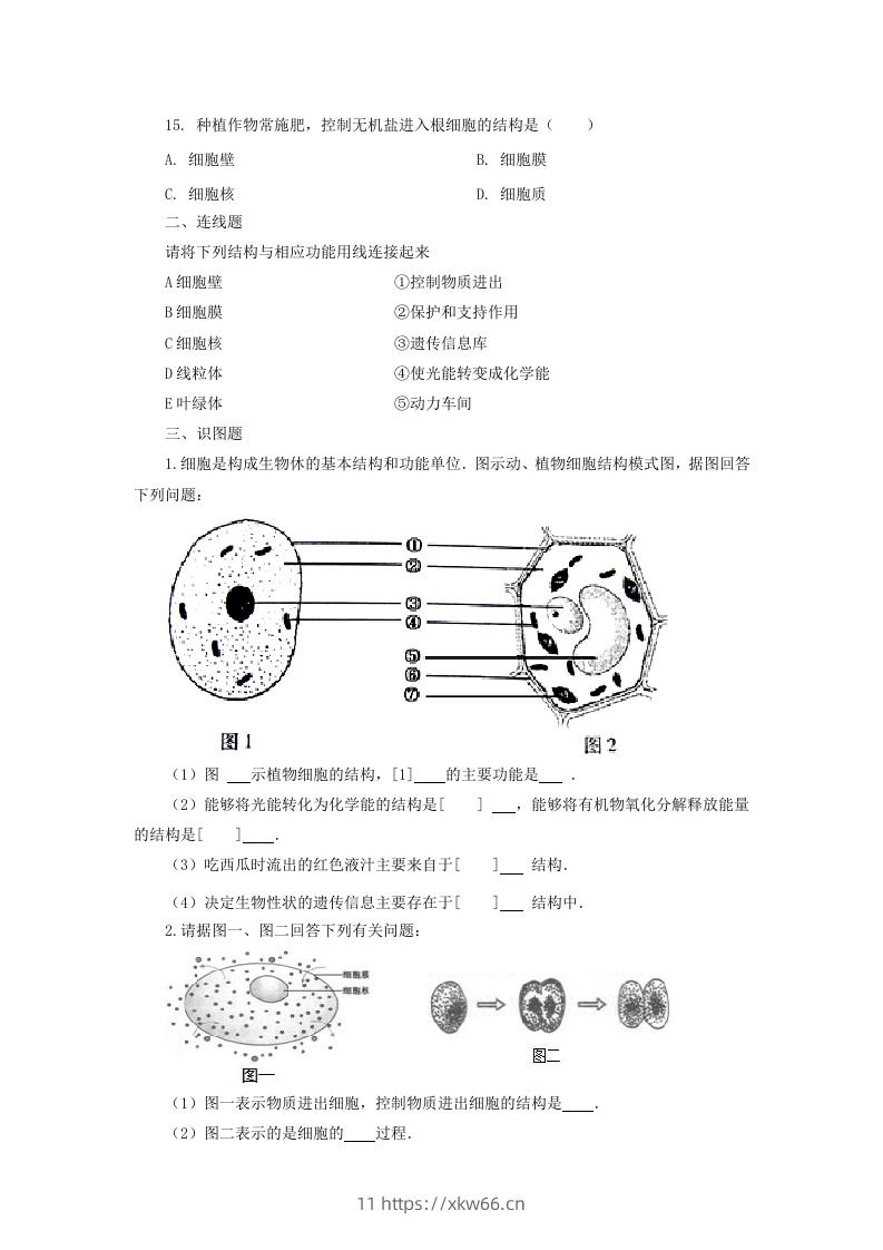 图片[3]-七年级上册生物第二单元第一章第四节试卷及答案(Word版)-学优教辅