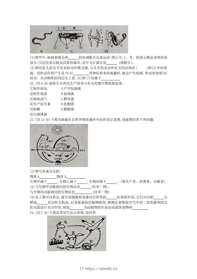 图片[3]-2020-2021学年河南省新乡市卫辉市八年级上学期期中生物试题及答案(Word版)-学优教辅